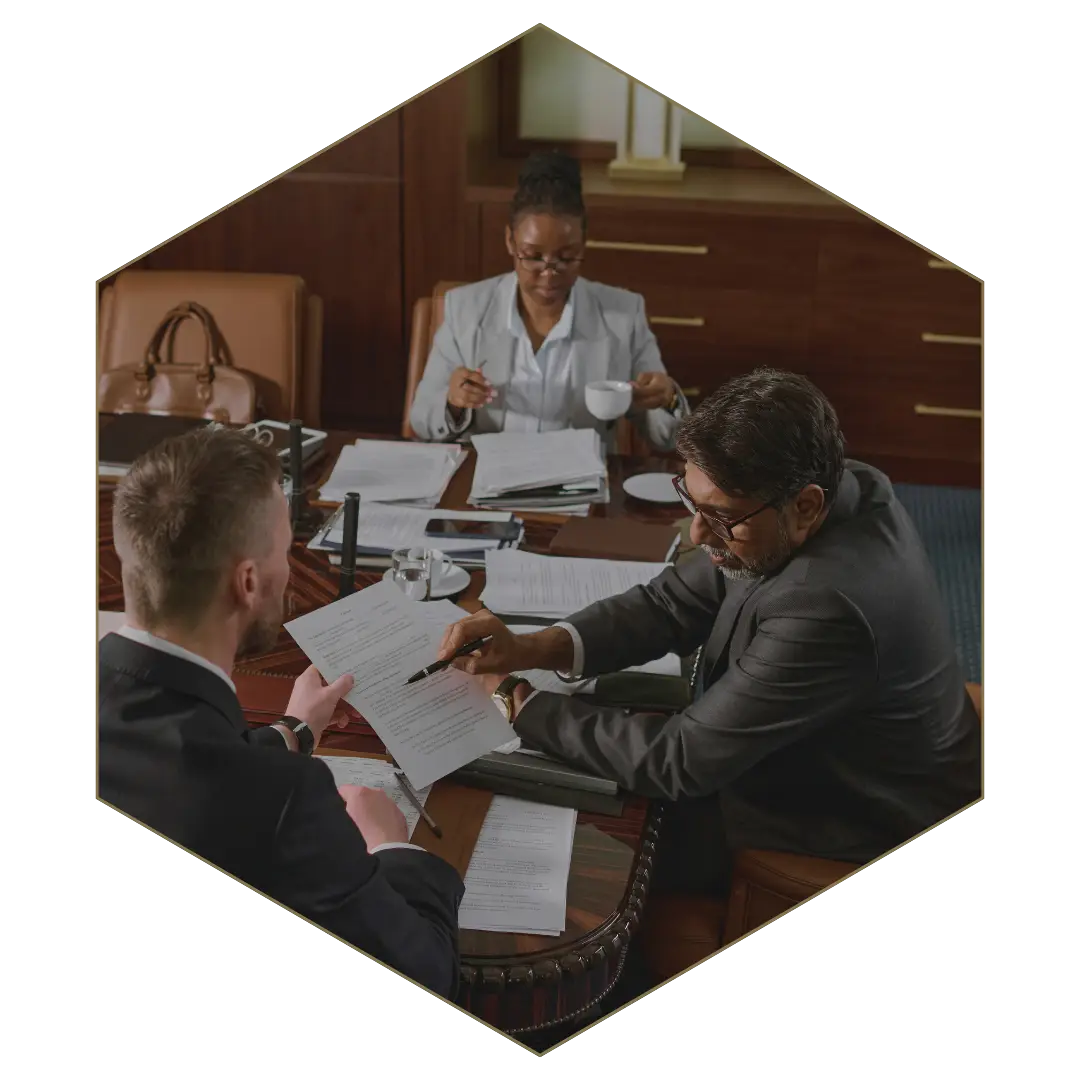 Law firm investigative support — litigation, interviews, IP disputes, and evidence review.